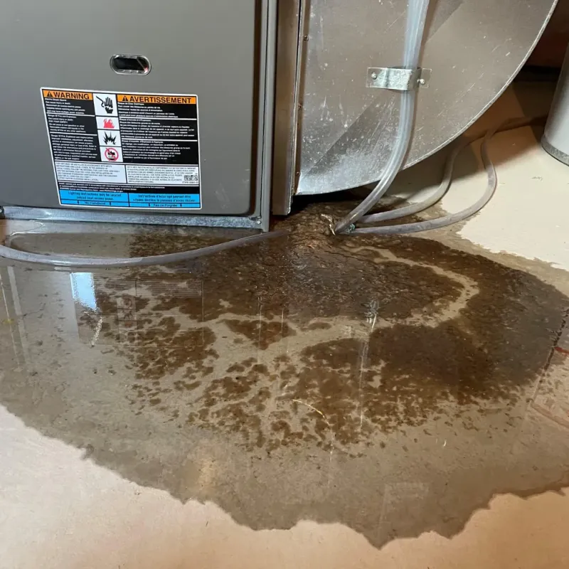 Appliance Leak Cleanup in Lakeland, FL